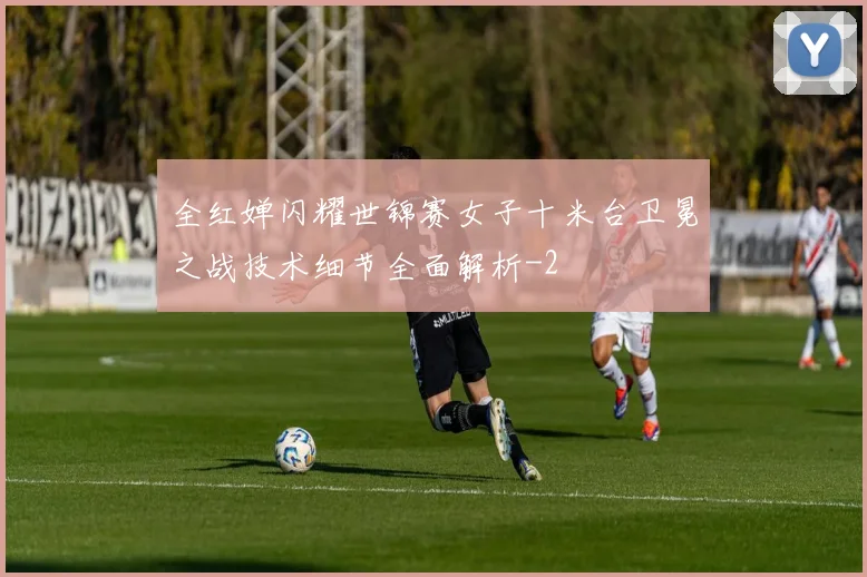 全红婵闪耀世锦赛女子十米台卫冕之战技术细节全面解析