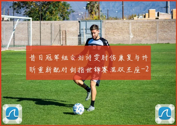 昔日冠军组合刘诗雯肘伤康复与许昕重新配对剑指世锦赛混双王座