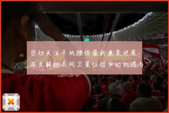 密切关注辛纳腰伤最新康复进展，深度解析美网卫冕征程中的机遇与挑战