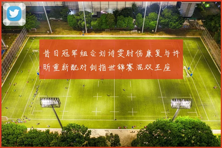昔日冠军组合刘诗雯肘伤康复与许昕重新配对剑指世锦赛混双王座