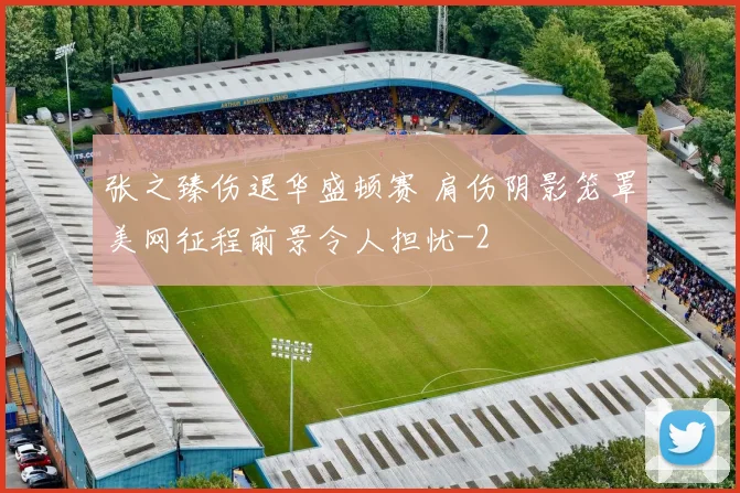 张之臻伤退华盛顿赛 肩伤阴影笼罩美网征程前景令人担忧