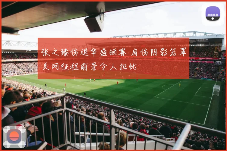 张之臻伤退华盛顿赛 肩伤阴影笼罩美网征程前景令人担忧
