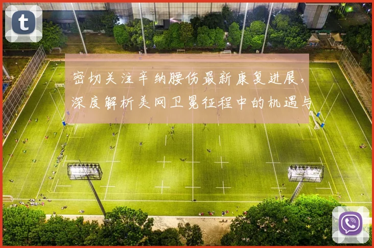密切关注辛纳腰伤最新康复进展,深度解析美网卫冕征程中的机遇与挑战